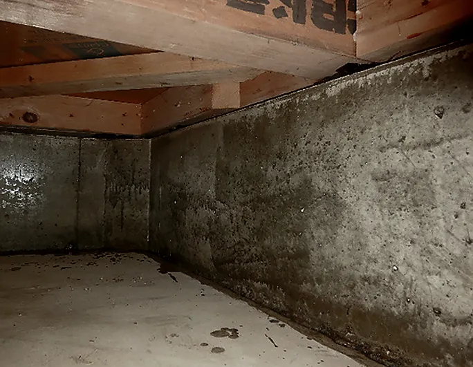 ソリッドリメイン 床下基礎コンクリート施工前(ケース2)