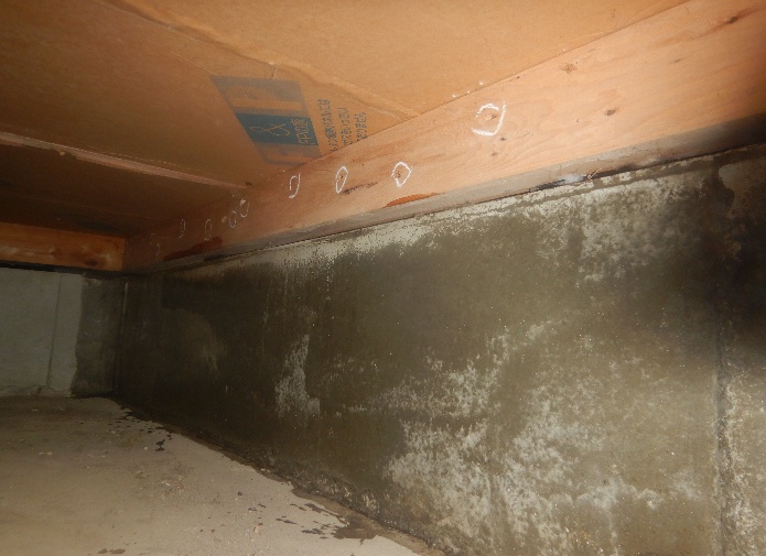 ダイニング下基礎コンクリート補強