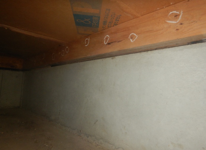 ダイニング下基礎コンクリート補強