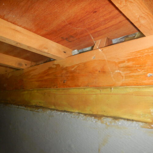 タフロンウッドPによる木部補強