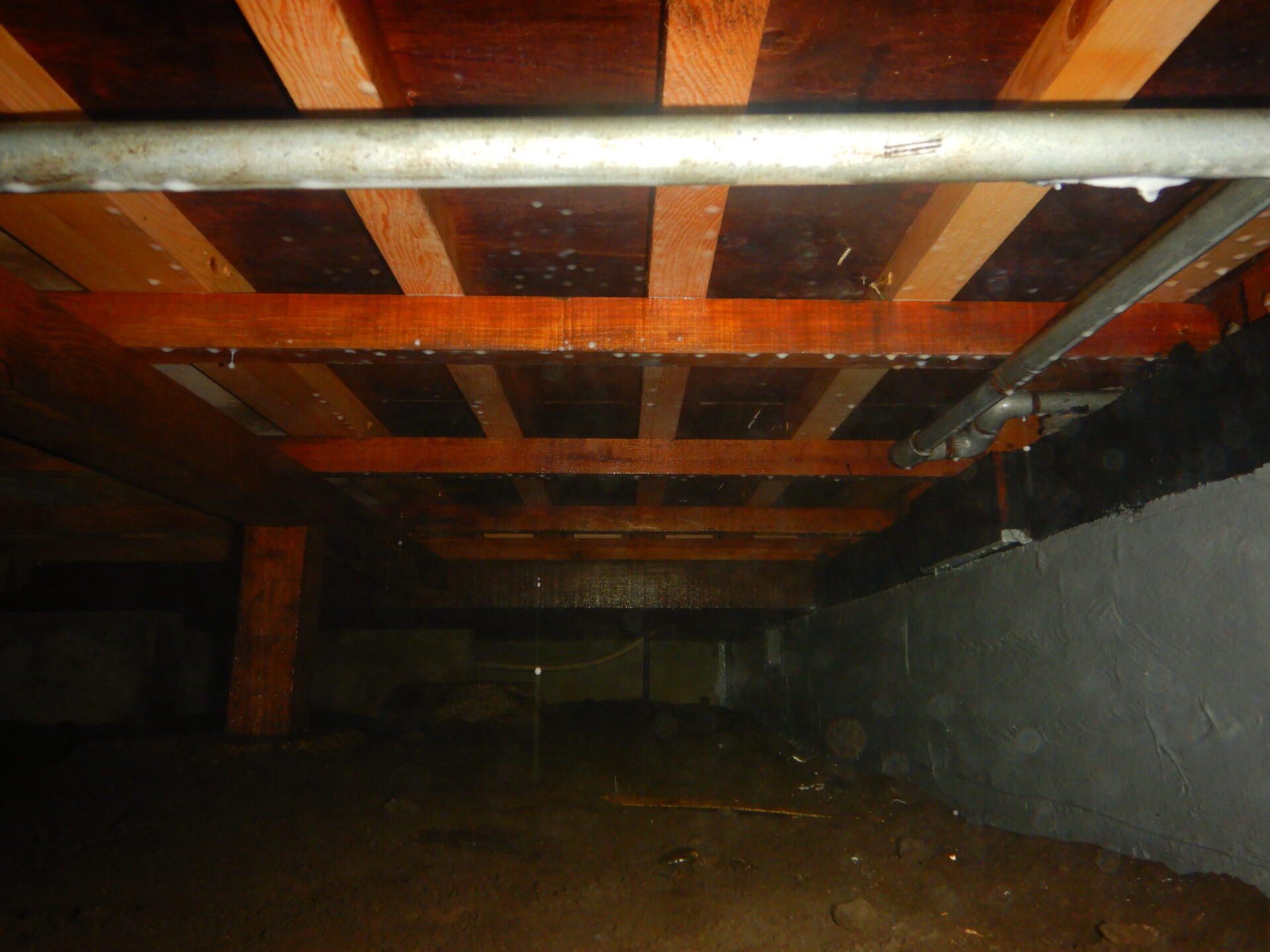 消毒施工で、木材の腐朽や劣化をしっかり防ぐ